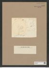 Coscinodiscus impressus Grun. (de-Toni-Nr.: Genus 202, Species 5001) Zeichnungen Sammlung Grunow Nr. 8712 (NHMW-BOT-W0378284)